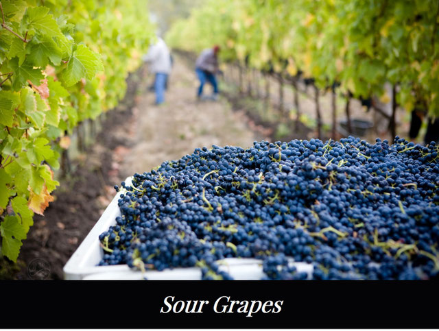 Murder and a Mystery